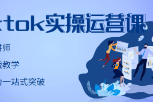 TikTok实操运营课，手把手账号实战，适合零基础Tiktok新人