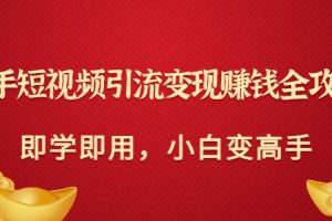 快手短视频引流变现赚钱全攻略：即学即用，小白变高手（价值398元）