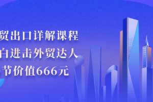 外贸出口详解课程：小白进击外贸达人，30节价值666元