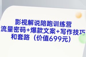 影视解说陪跑训练营，流量密码+爆款文案+写作技巧和套路（价值699元）