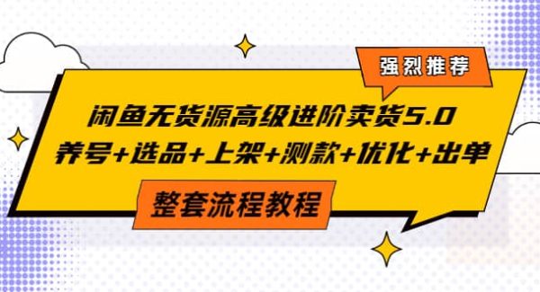 闲鱼无货源高级进阶卖货5.0，养号 选品 上架 测款 优化 出单整套流程教程