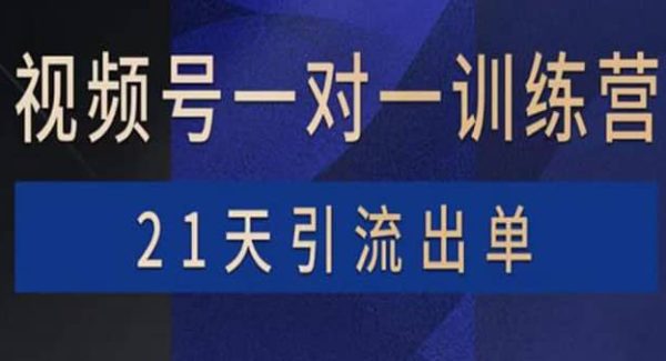 视频号训练营：带货，涨粉，直播，游戏，四大变现新方向，21天引流出单