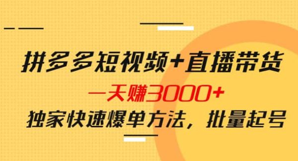 拼多多短视频 直播带货，一天赚3000 独家快速爆单方法，批量起号