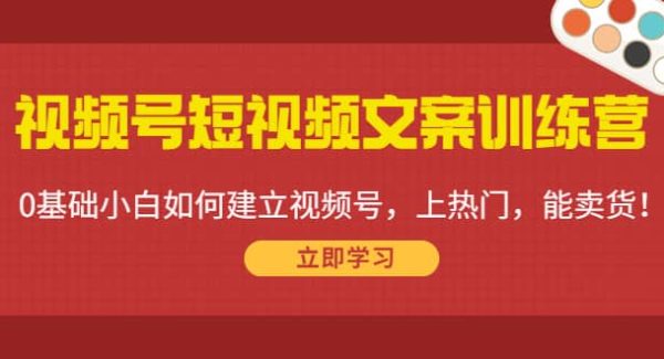 视频号短视频文案训练营：0基础小白如何建立视频号，上热门，能卖货！