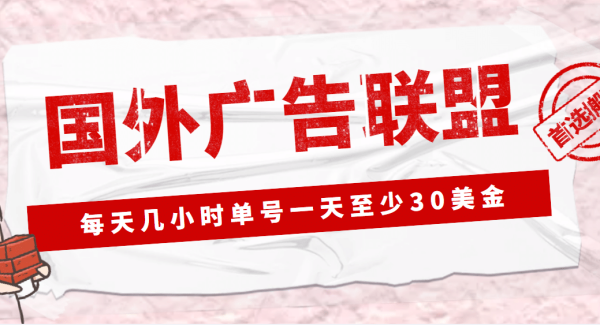 外面收费1980最新国外LEAD广告联盟搬砖项目，单号一天至少30美元(详细教程)