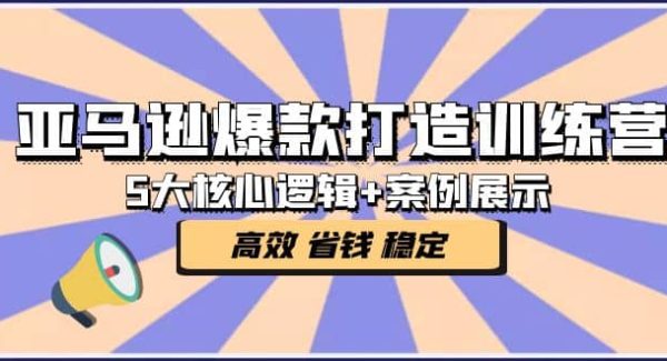 亚马逊爆款打造训练营：5大核心逻辑 案例展示 打造爆款链接 高效 省钱 稳定