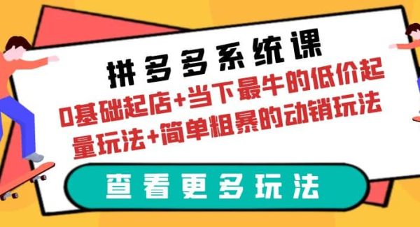 拼多多系统课：0基础起店 当下最牛的低价起量玩法 简单粗暴的动销玩法