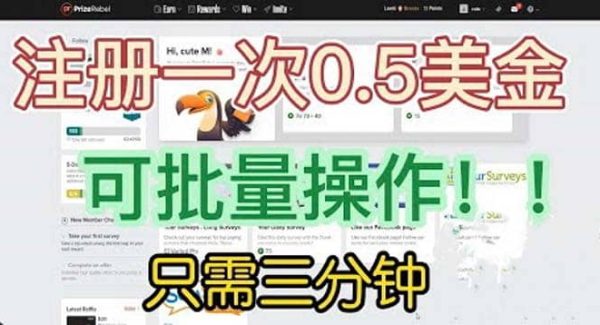 国外项目注册一次0.5美金 只需三分钟无脑操作 可批量放大 小白工作室福利