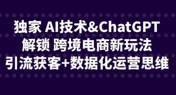 独家 AI技术ChatGPT解锁 跨境电商新玩法，引流获客 数据化运营思维