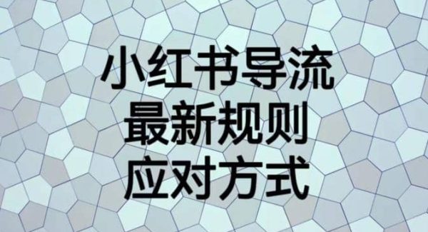 小红书导流最新规则应对方式【揭秘】