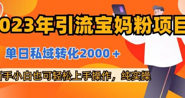 2023年引流宝妈粉项目，单日私域转化2000＋，新手小白也可轻松上手操作，纯实操