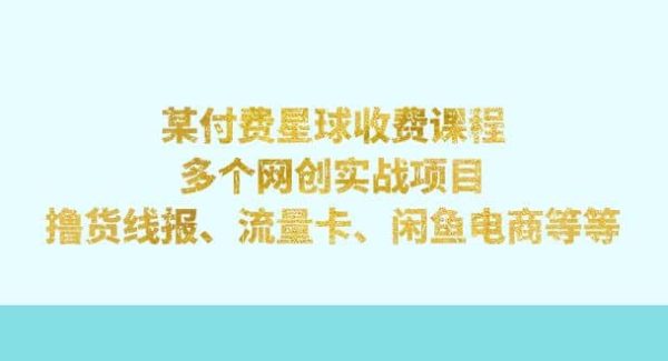 某付费星球课程：多个网创实战项目，撸货线报、流量卡、闲鱼电商等等