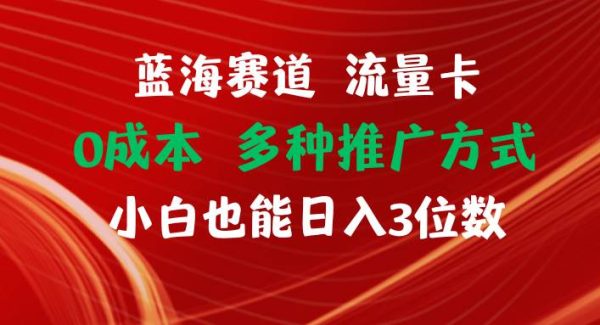 蓝海赛道 流量卡 0成本 小白也能日入三位数